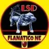 Flanatico NE